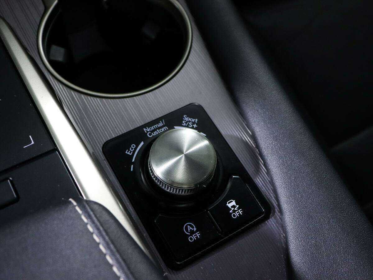 Lexus RX 300, 2020 Фото №18