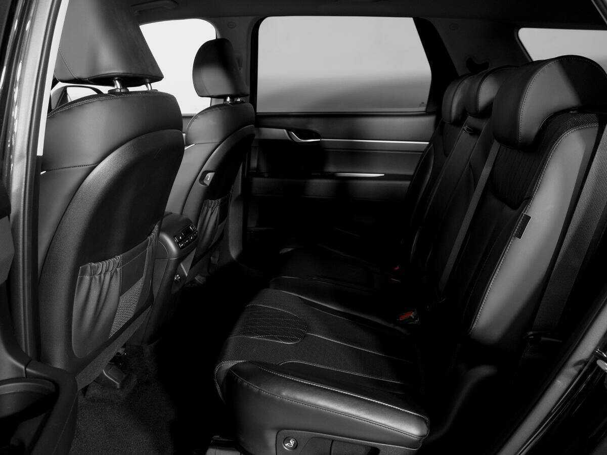 Hyundai Palisade, 2020 Фото №10