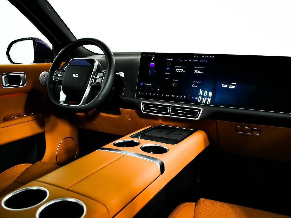 LiXiang L9 44.5 kWh, 2023 Фото №9