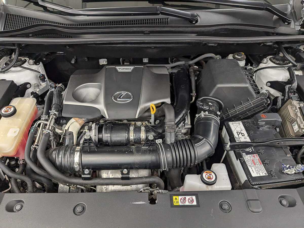 Lexus NX 300, 2019 Фото №9