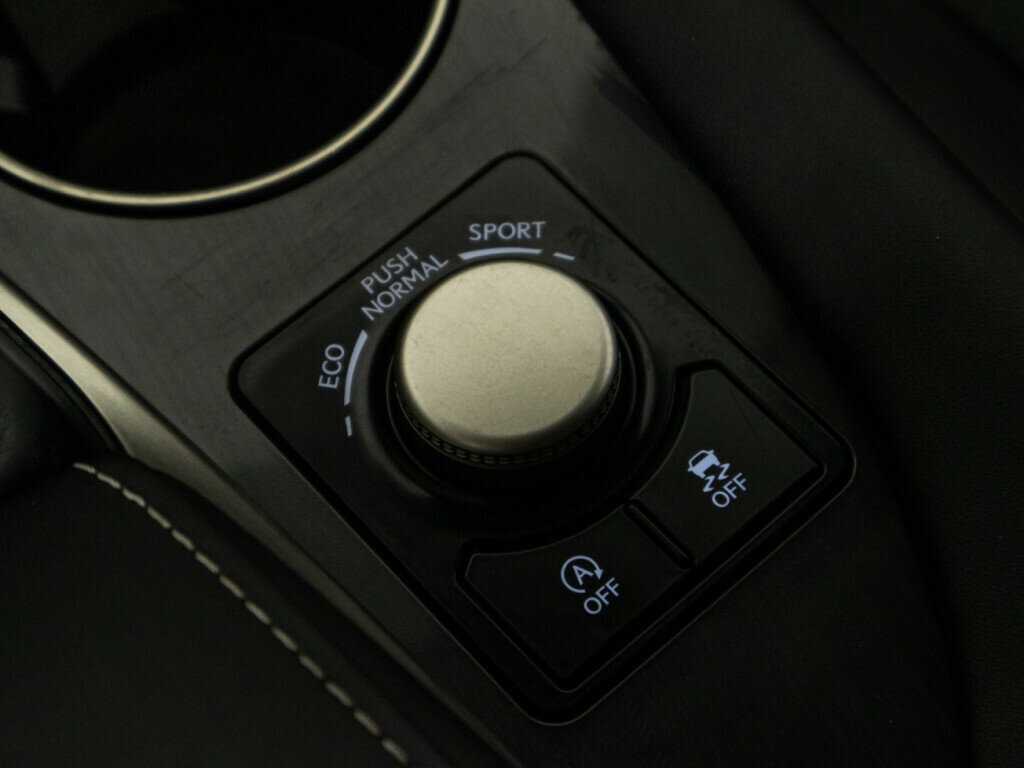 Lexus RX 300, 2019 Фото №22