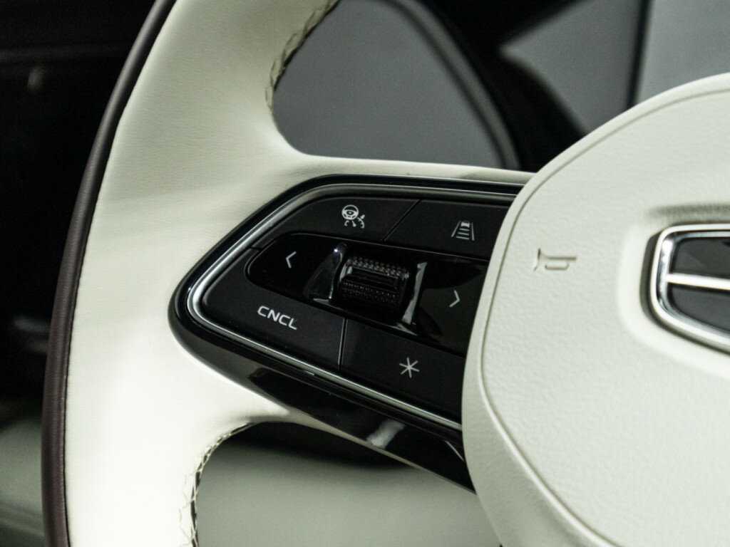 Geely Monjaro, 2023 Фото №21