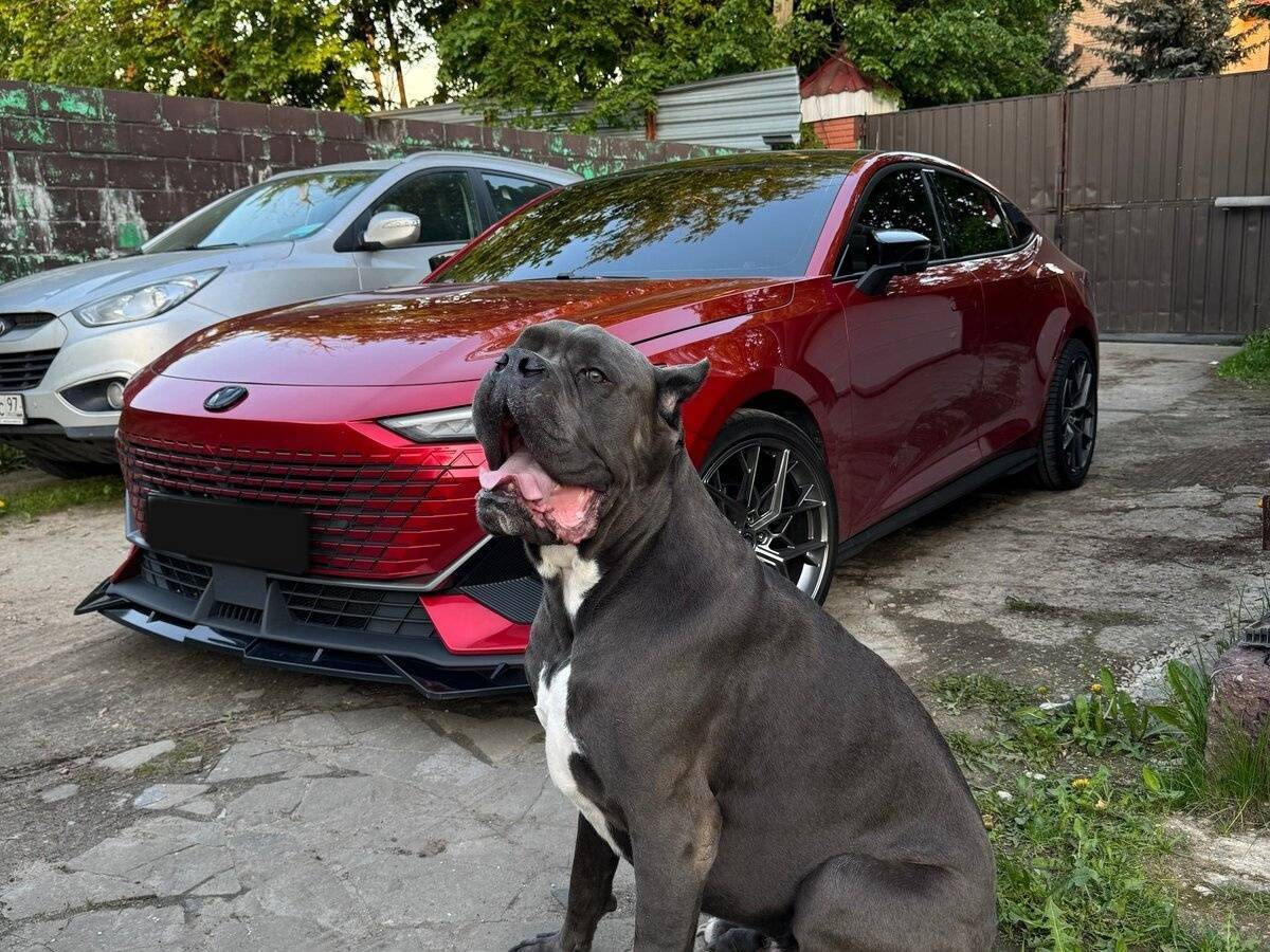 Changan UNI-V, 2022 - 54 036 км. | Фото №5