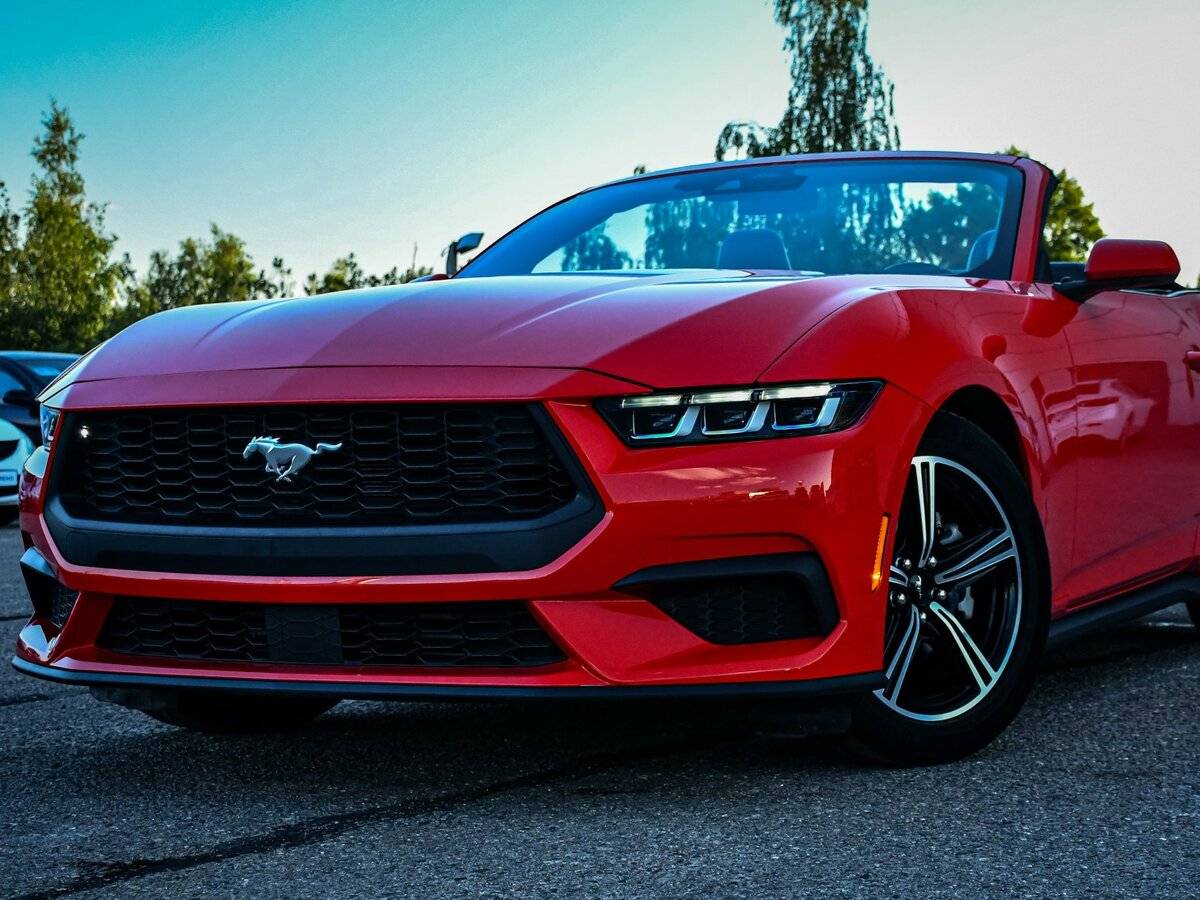 Ford Mustang VII, 2024 Фото №18