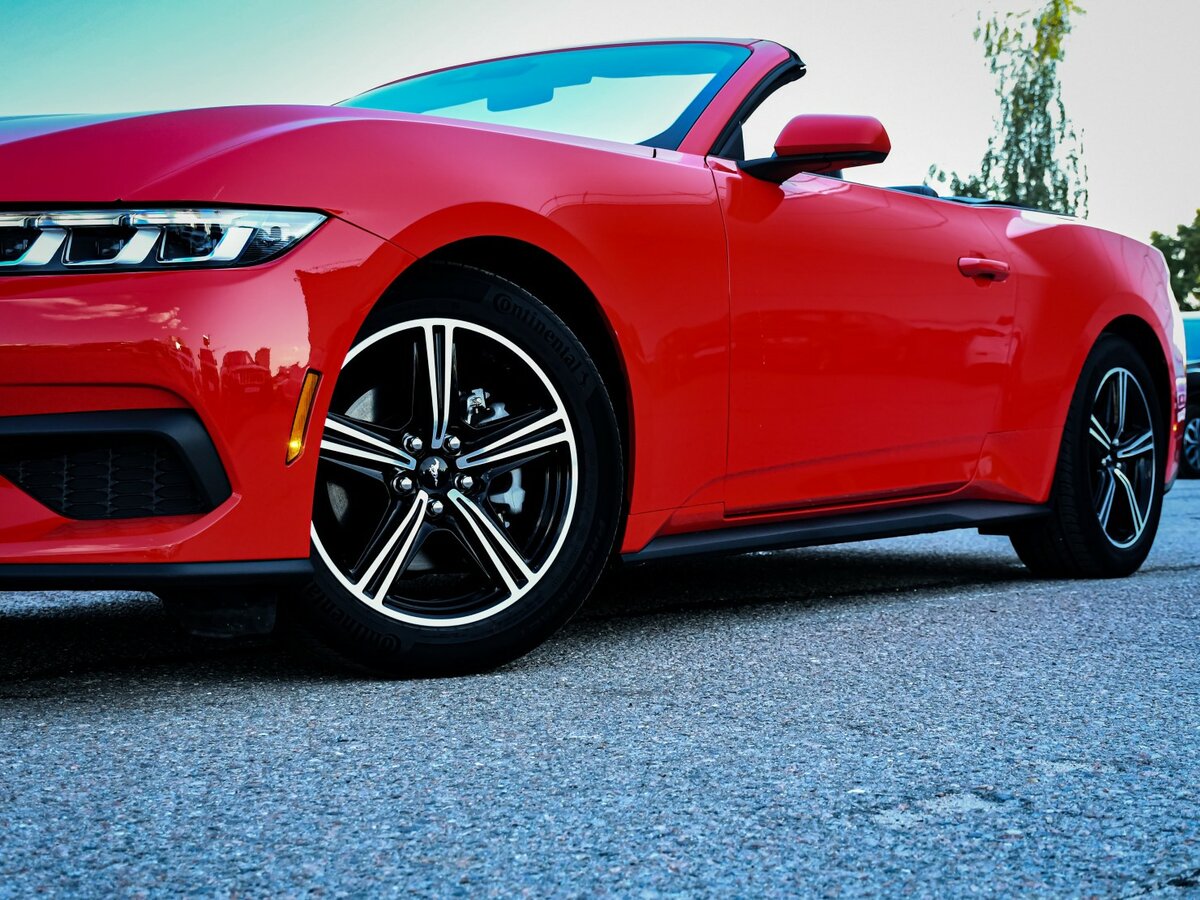 Ford Mustang VII, 2024 Фото №19