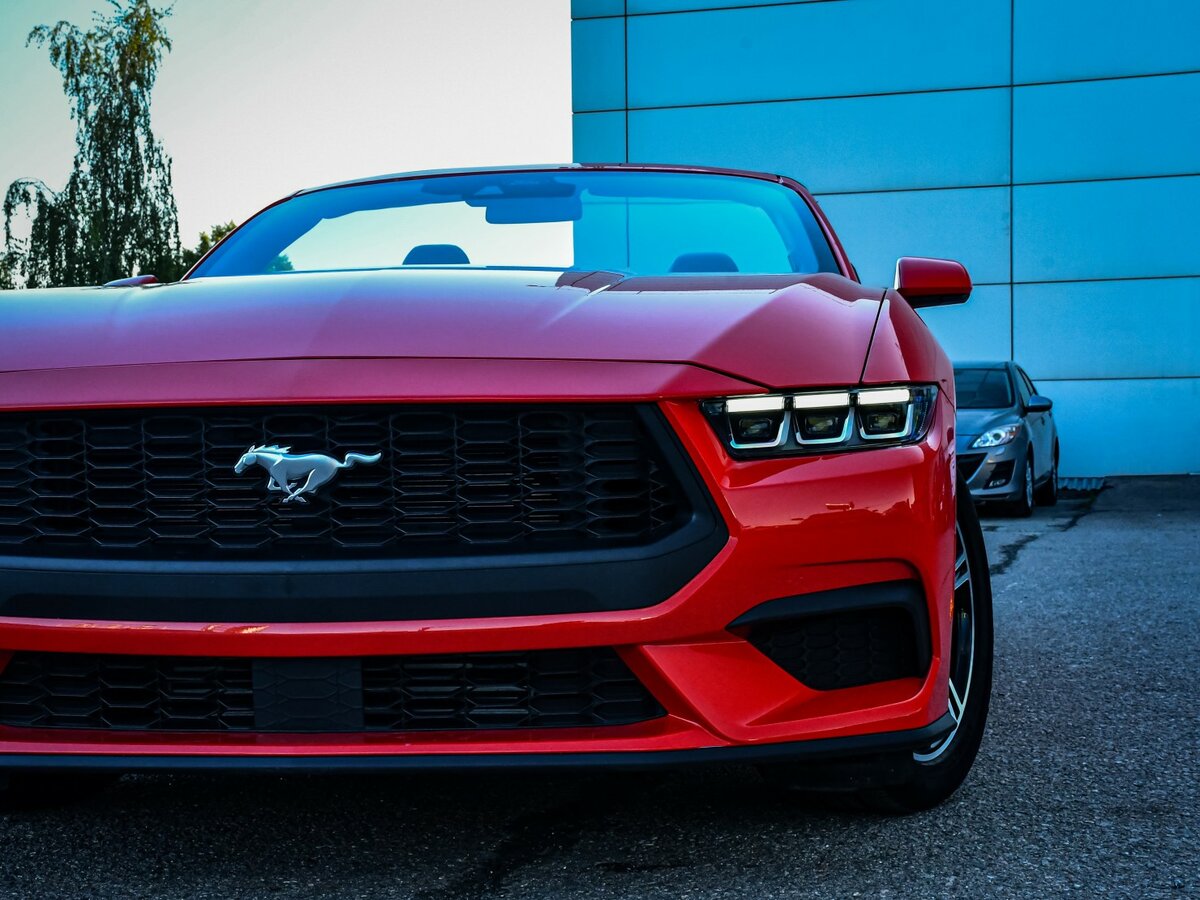 Ford Mustang VII, 2024 Фото №23