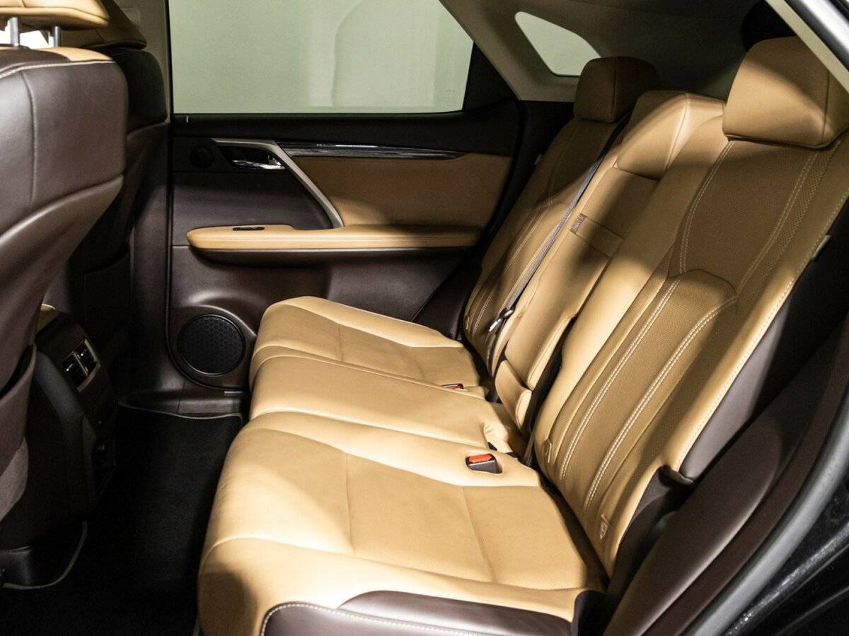 Lexus RX 300 IV, 2018 Фото №9