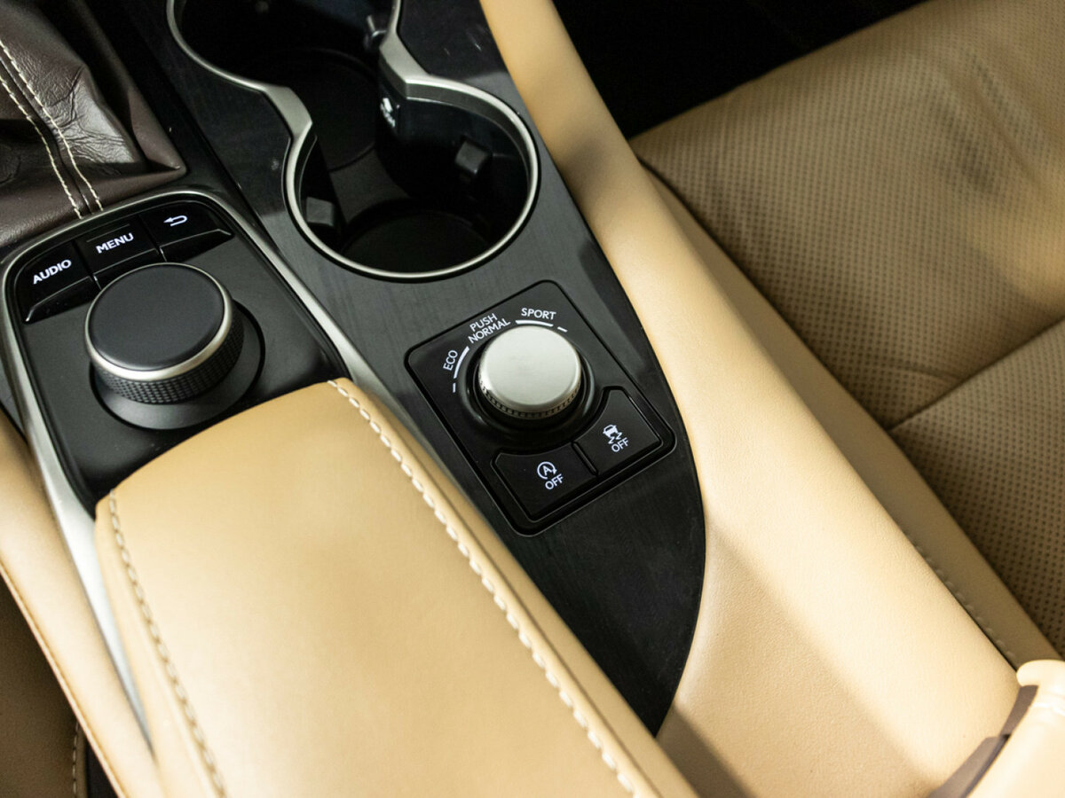 Lexus RX 300 IV, 2018 Фото №17