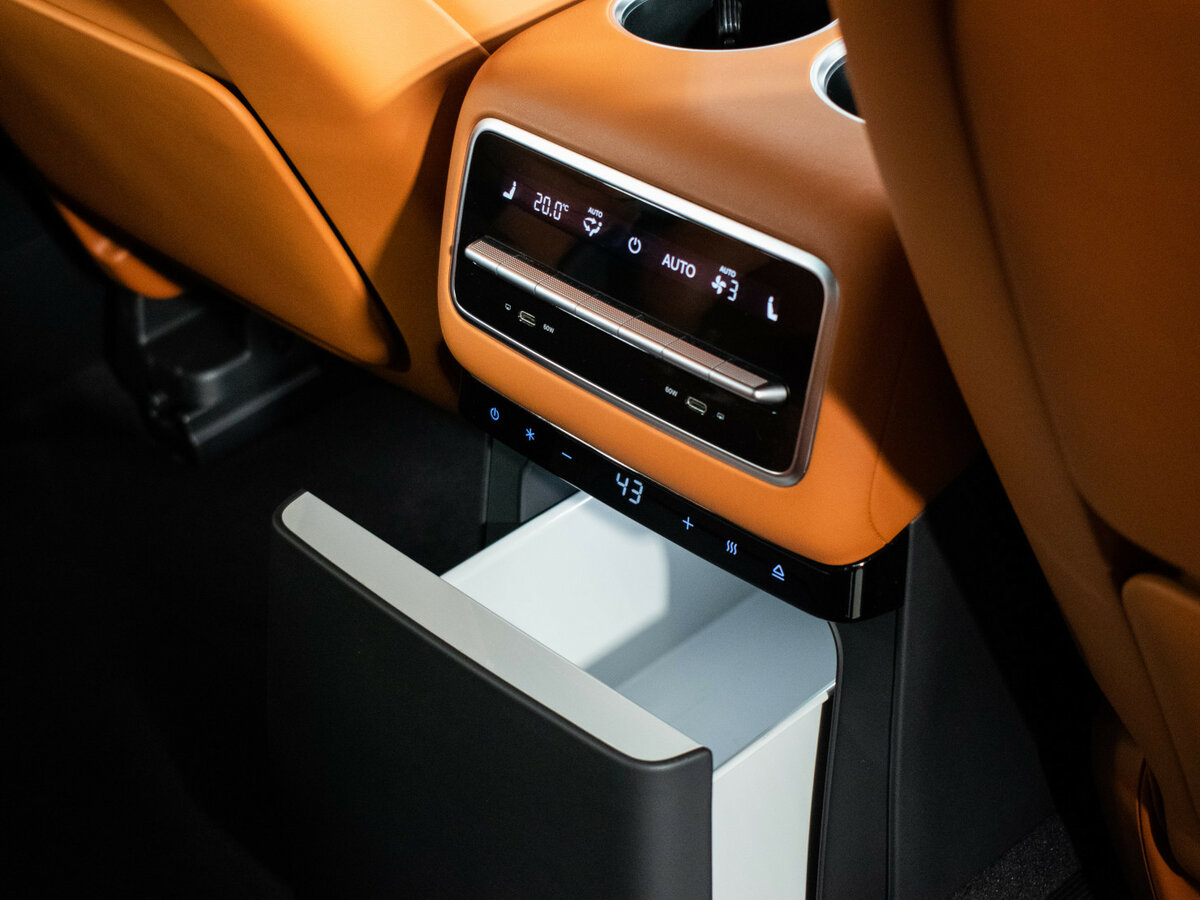 Lixiang L9 44.5 kWh I, 2023 Фото №24