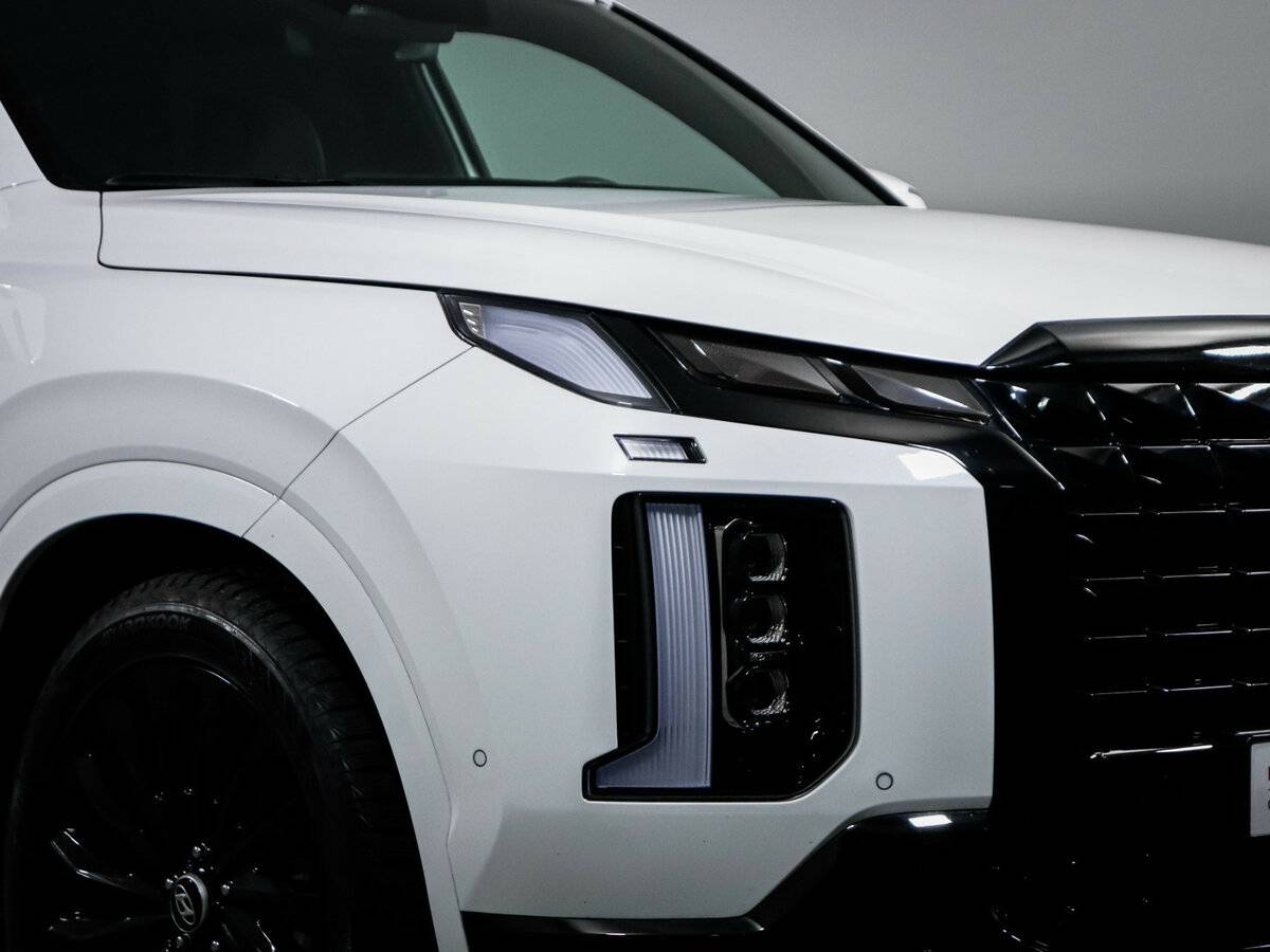 Hyundai Palisade I Рестайлинг, 2024 Фото №16
