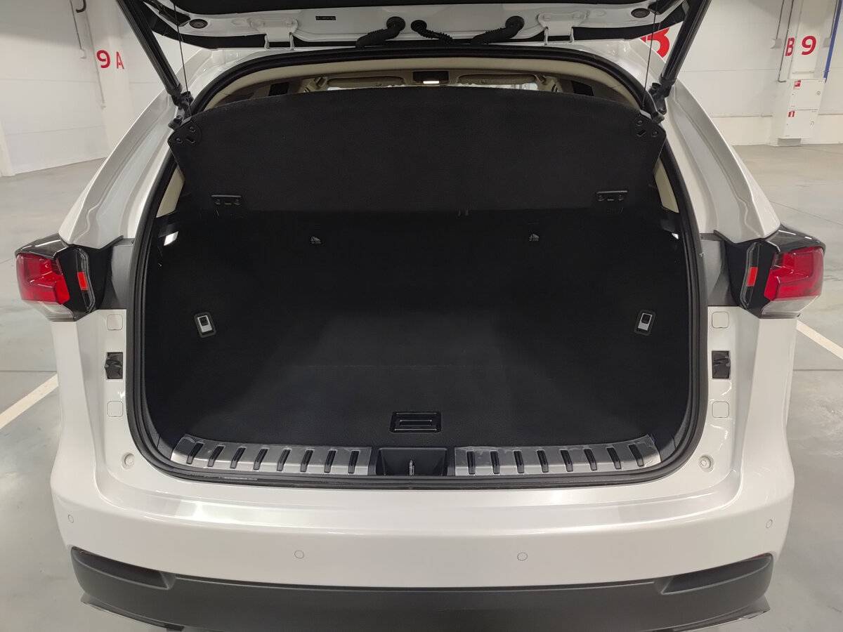 Lexus NX 300 I Рестайлинг, 2018 Фото №10